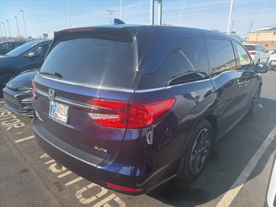 2024 Honda Odyssey Elite