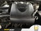 2019 Toyota Tacoma SR V6